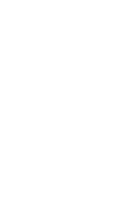 strides home full logo in all white